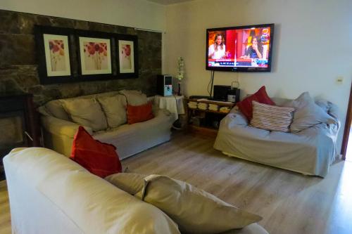 Living con televisión